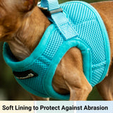 Mr. Peanut's PupTrek Harness and Leash Set,  Small Dog/Cat Soft Mesh Step In Harness Vest from Mr. Peanut's Pet Carriers