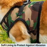 Mr. Peanut's PupTrek Harness and Leash Set,  Small Dog/Cat Soft Mesh Step In Harness Vest from Mr. Peanut's Pet Carriers