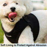 Mr. Peanut's PupTrek Harness and Leash Set,  Small Dog/Cat Soft Mesh Step In Harness Vest from Mr. Peanut's Pet Carriers