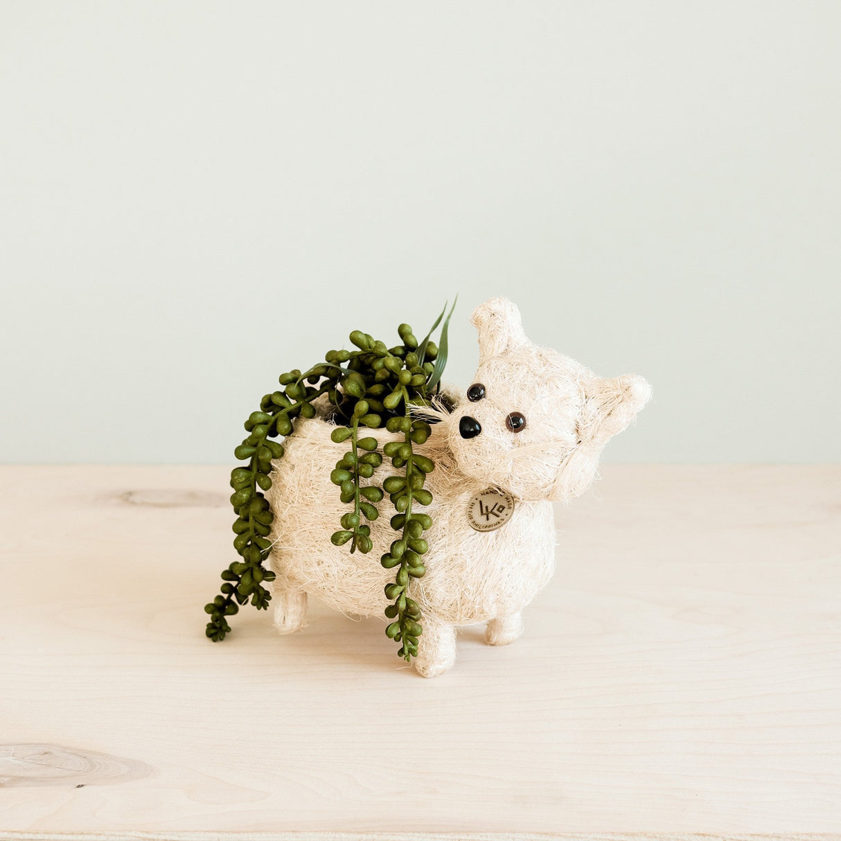 Baby Cat Planter - Handmade Pot | from LIKHÂ