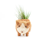 Baby Corgi Succulent Pot - Handmade Planters | from LIKHÂ