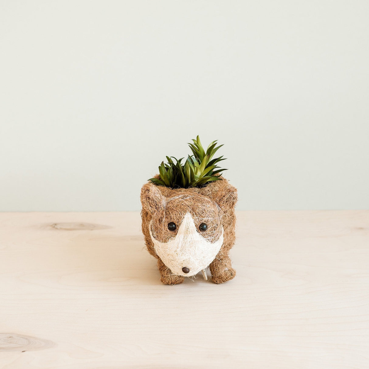Baby Corgi Succulent Pot - Handmade Planters | from LIKHÂ