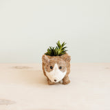 Baby Corgi Succulent Pot - Handmade Planters | from LIKHÂ