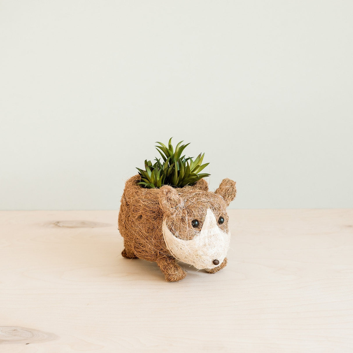 Baby Corgi Succulent Pot - Handmade Planters | from LIKHÂ