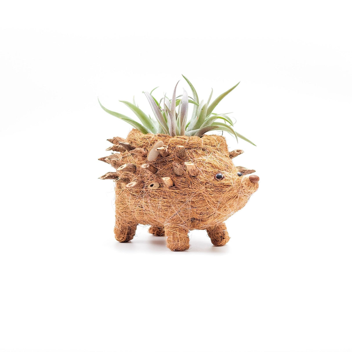 Baby Hedgehog Plant Pot - Handmade Planters | from LIKHÂ