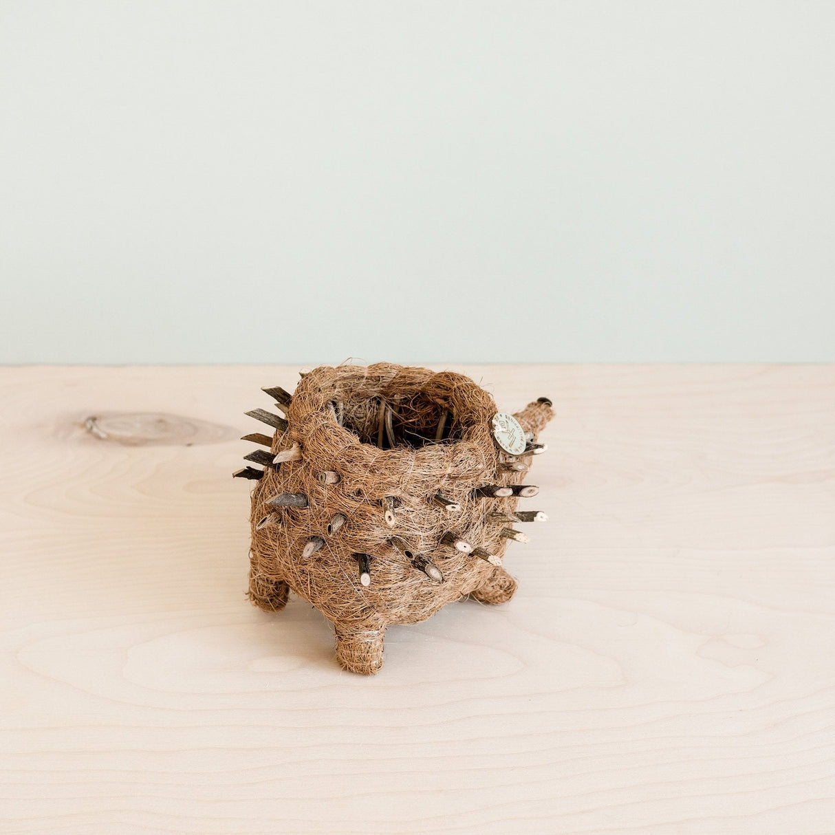 Baby Hedgehog Plant Pot - Handmade Planters | from LIKHÂ