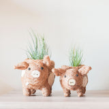 Baby Pig Succulent Pot - Handmade Planters | from LIKHÂ