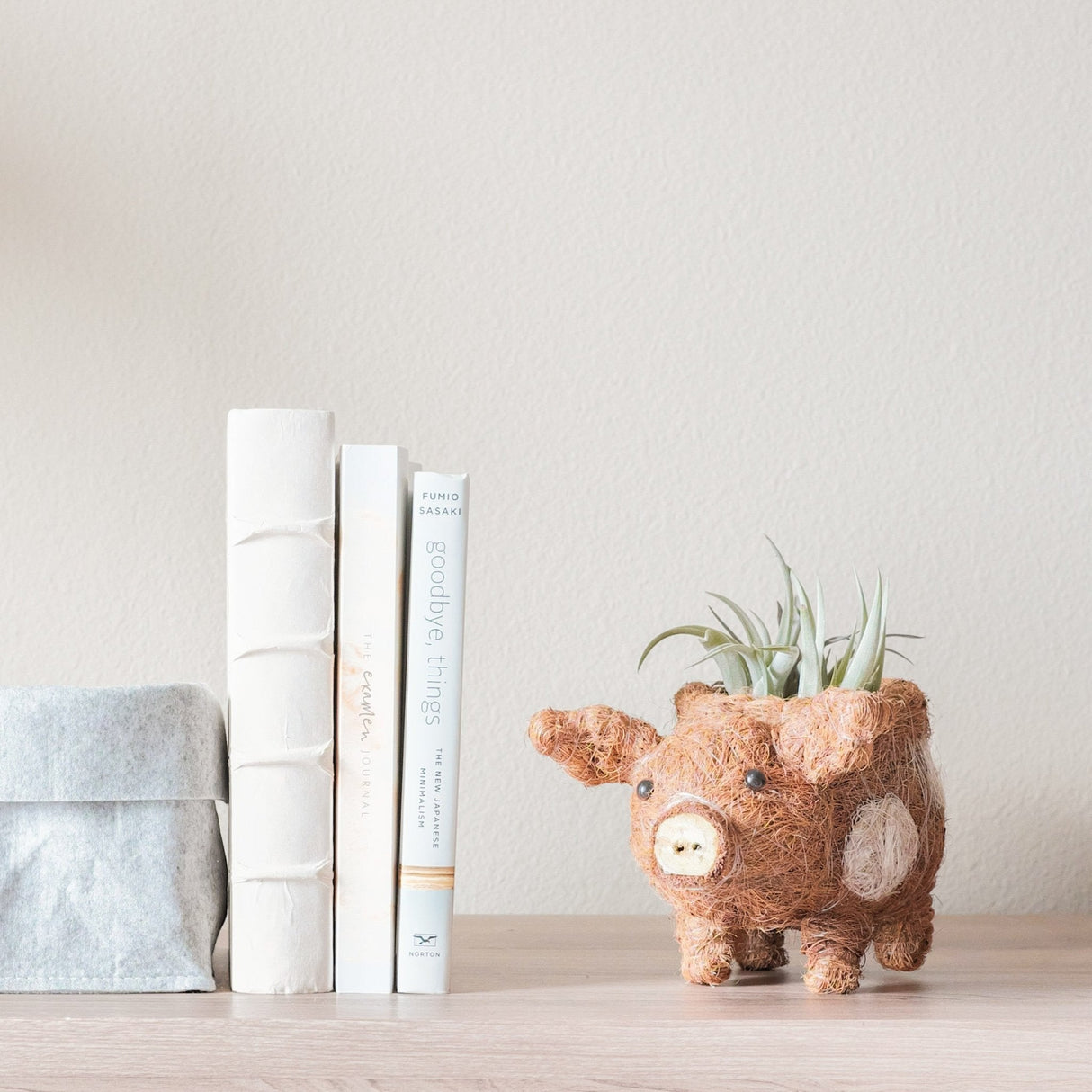 Baby Pig Succulent Pot - Handmade Planters | from LIKHÂ