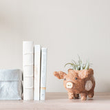 Baby Pig Succulent Pot - Handmade Planters | from LIKHÂ