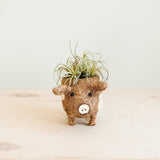 Baby Pig Succulent Pot - Handmade Planters | from LIKHÂ