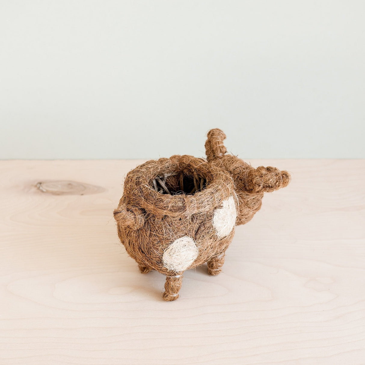 Baby Pig Succulent Pot - Handmade Planters | from LIKHÂ