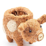 Baby Pig Succulent Pot - Handmade Planters | from LIKHÂ