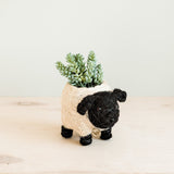 Baby Sheep Planter - Coco Coir Pots | from LIKHÂ