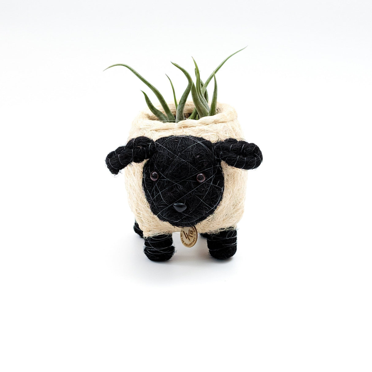 Baby Sheep Planter - Coco Coir Pots | from LIKHÂ