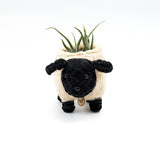 Baby Sheep Planter - Coco Coir Pots | from LIKHÂ