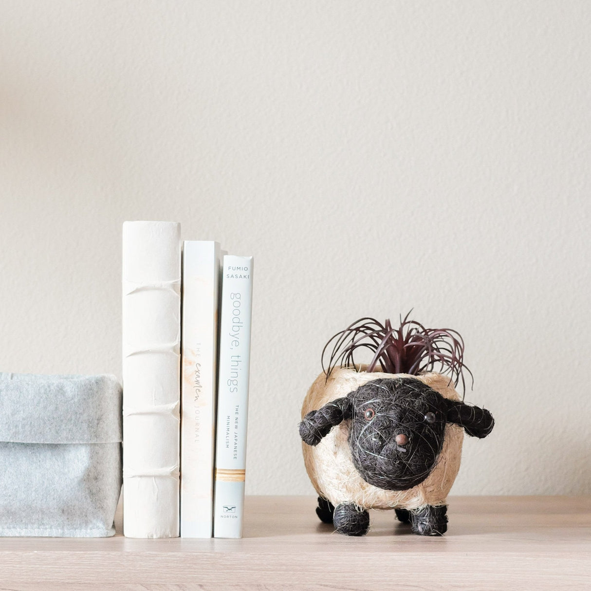 Baby Sheep Planter - Coco Coir Pots | from LIKHÂ