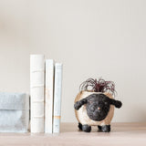 Baby Sheep Planter - Coco Coir Pots | from LIKHÂ