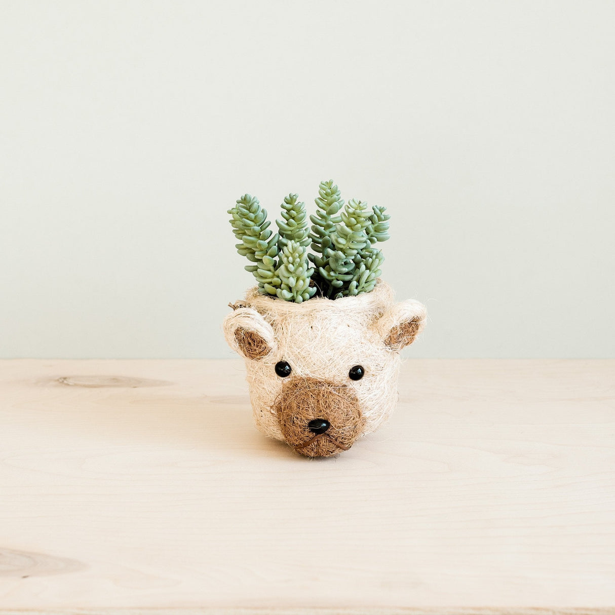 Bear Planter - Animal Head Planters | from LIKHÂ