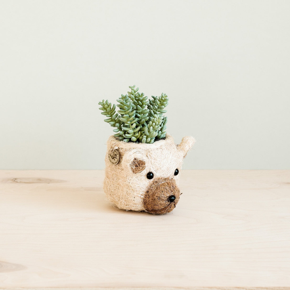 Bear Planter - Animal Head Planters | from LIKHÂ