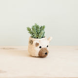 Bear Planter - Animal Head Planters | from LIKHÂ