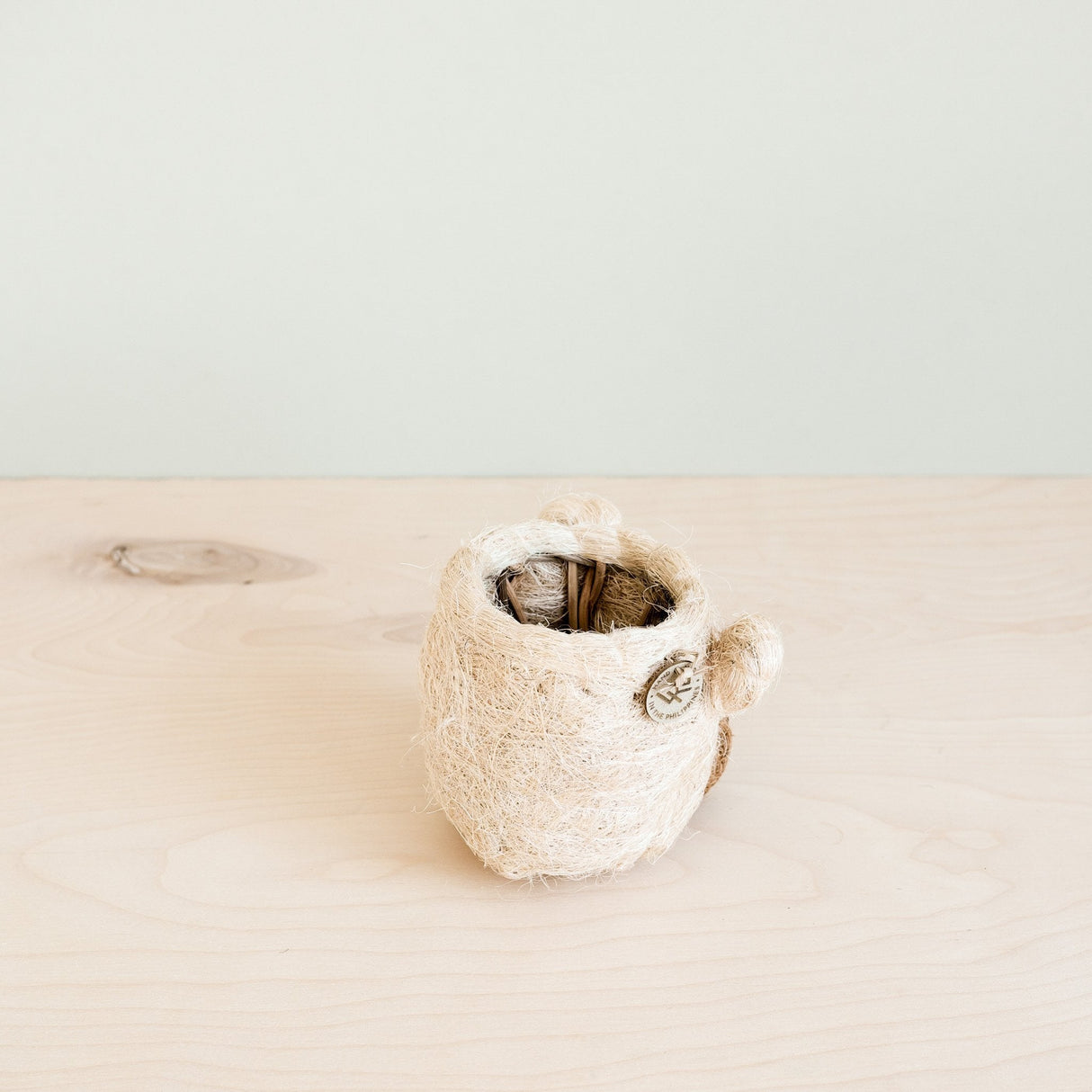 Bear Planter - Animal Head Planters | from LIKHÂ
