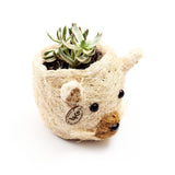 Cat Succulent Planter - Animal Head Planters | from LIKHÂ