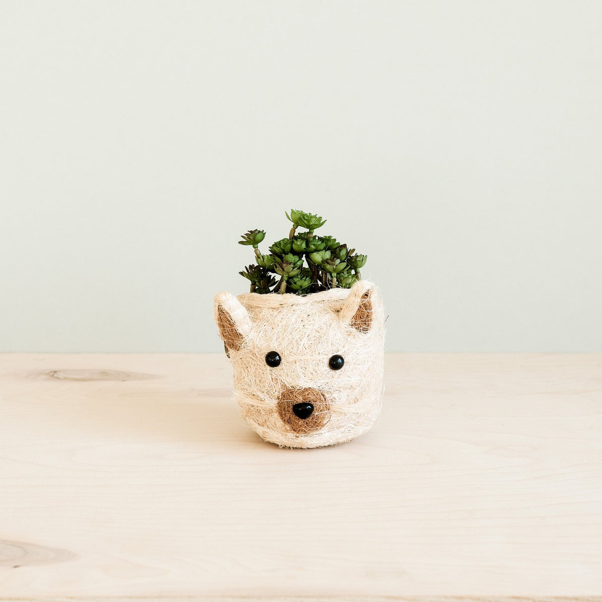 Cat Succulent Planter - Animal Head Planters | from LIKHÂ
