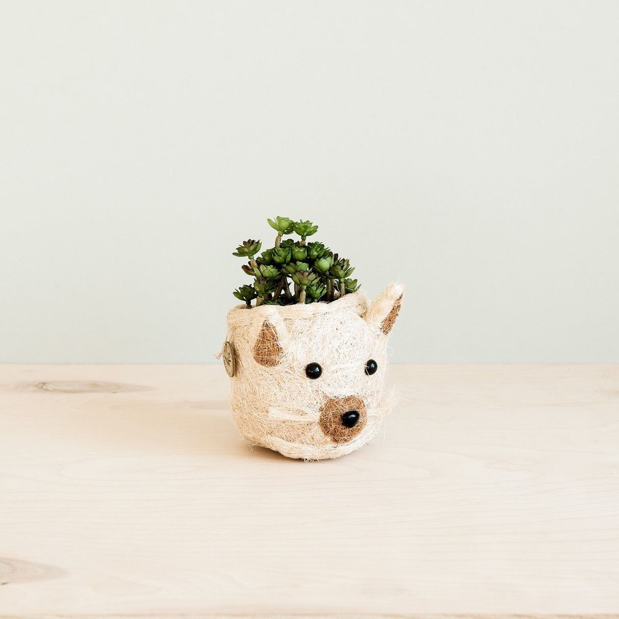 Cat Succulent Planter - Animal Head Planters | from LIKHÂ