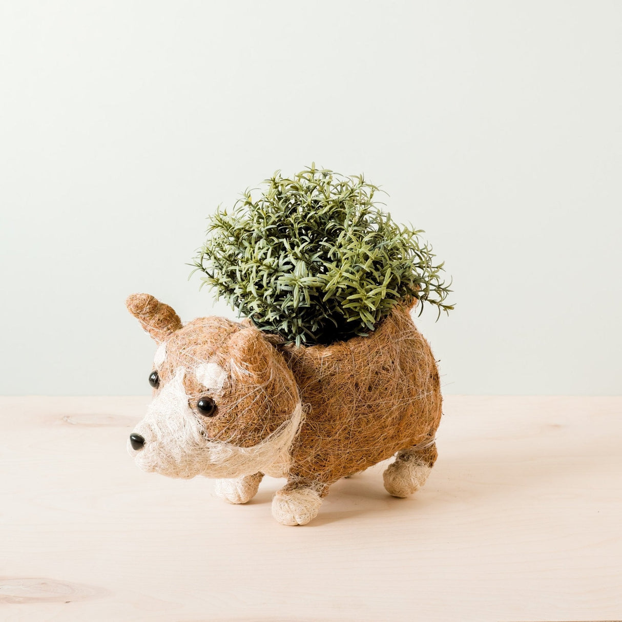 Corgi Succulent Pot - Handmade Planters | from LIKHÂ
