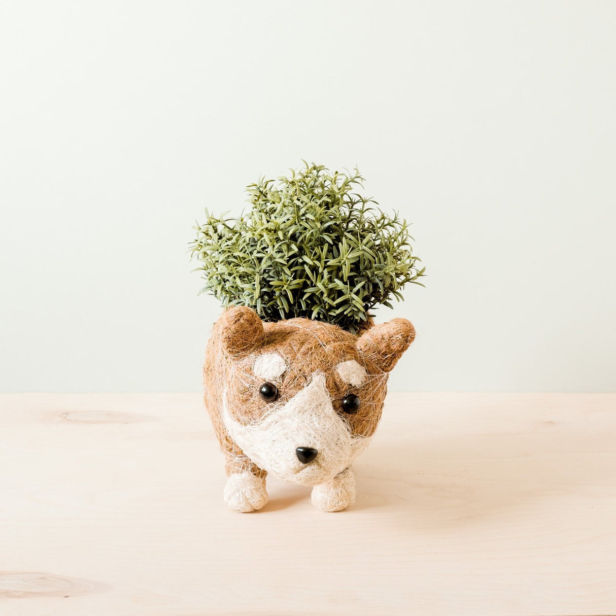 Corgi Succulent Pot - Handmade Planters | from LIKHÂ