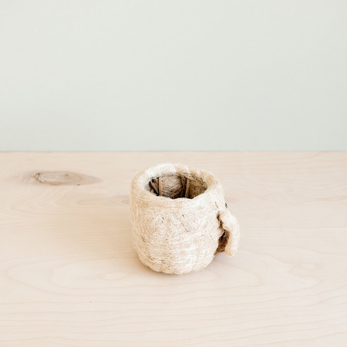Dog Succulent Planter - Animal Head Plant Pot | from LIKHÂ