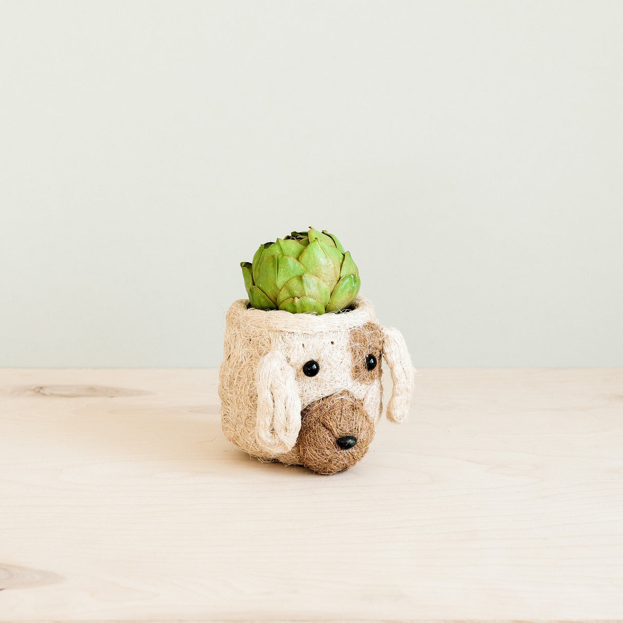 Dog Succulent Planter - Animal Head Plant Pot | from LIKHÂ
