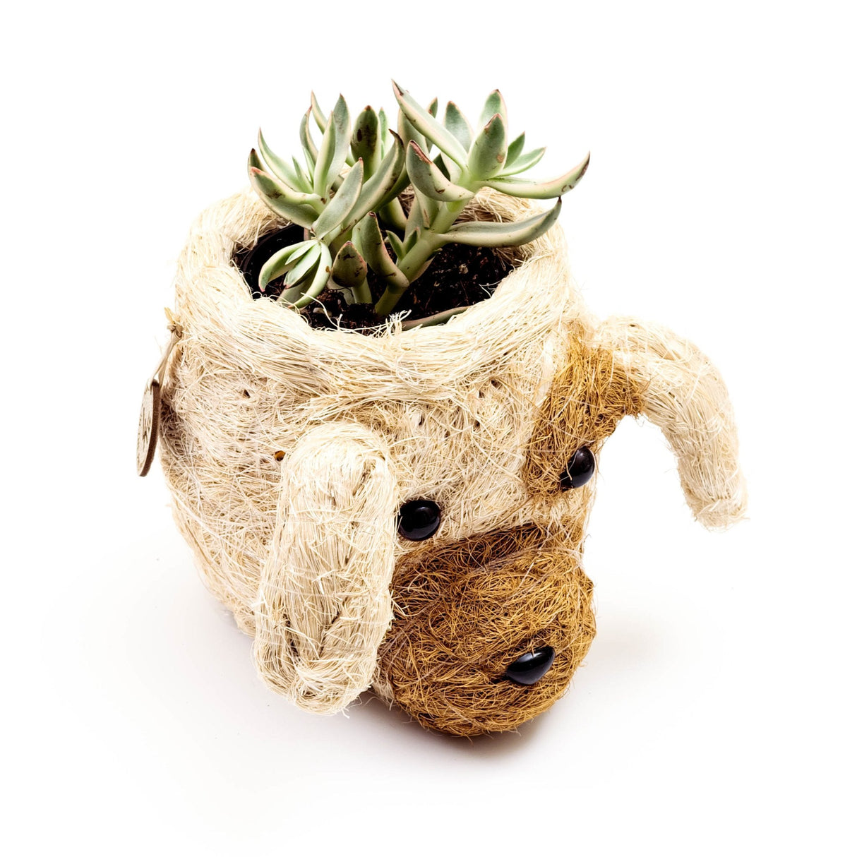 Dog Succulent Planter - Animal Head Plant Pot | from LIKHÂ