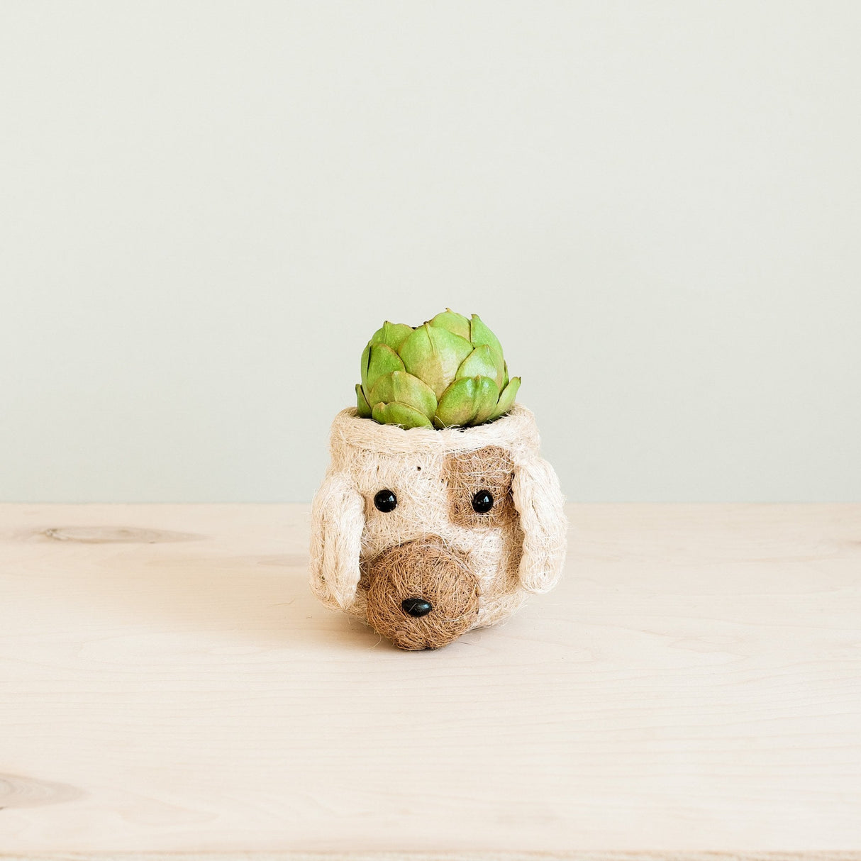 Dog Succulent Planter - Animal Head Plant Pot | from LIKHÂ