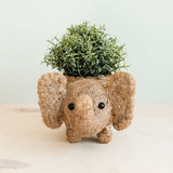 Elephant Plant Pot - Handmade Planter | from LIKHÂ