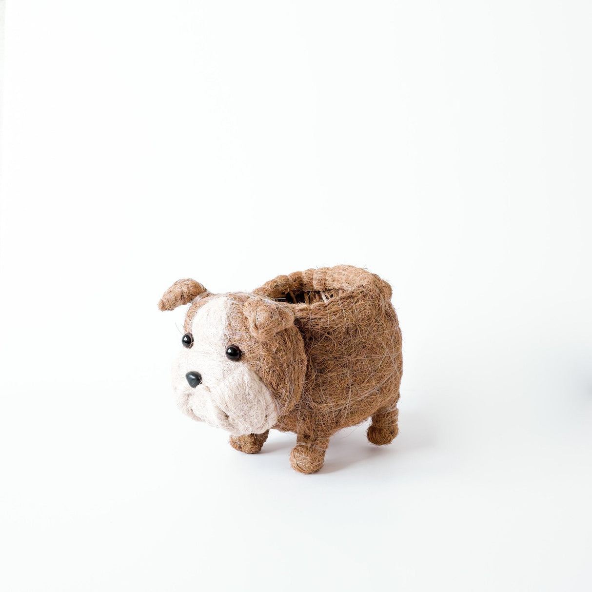 English Bulldog Planter - Coco Coir Pots | from LIKHÂ