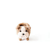 English Bulldog Planter - Coco Coir Pots | from LIKHÂ
