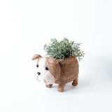 English Bulldog Planter - Coco Coir Pots | from LIKHÂ