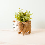 English Bulldog Planter - Coco Coir Pots | from LIKHÂ