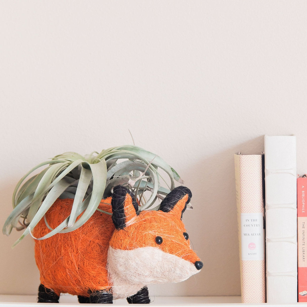 Fox Planter - Coir Planters | from LIKHÂ