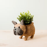 French Bulldog Planter - Coco Coir Pots | from LIKHÂ