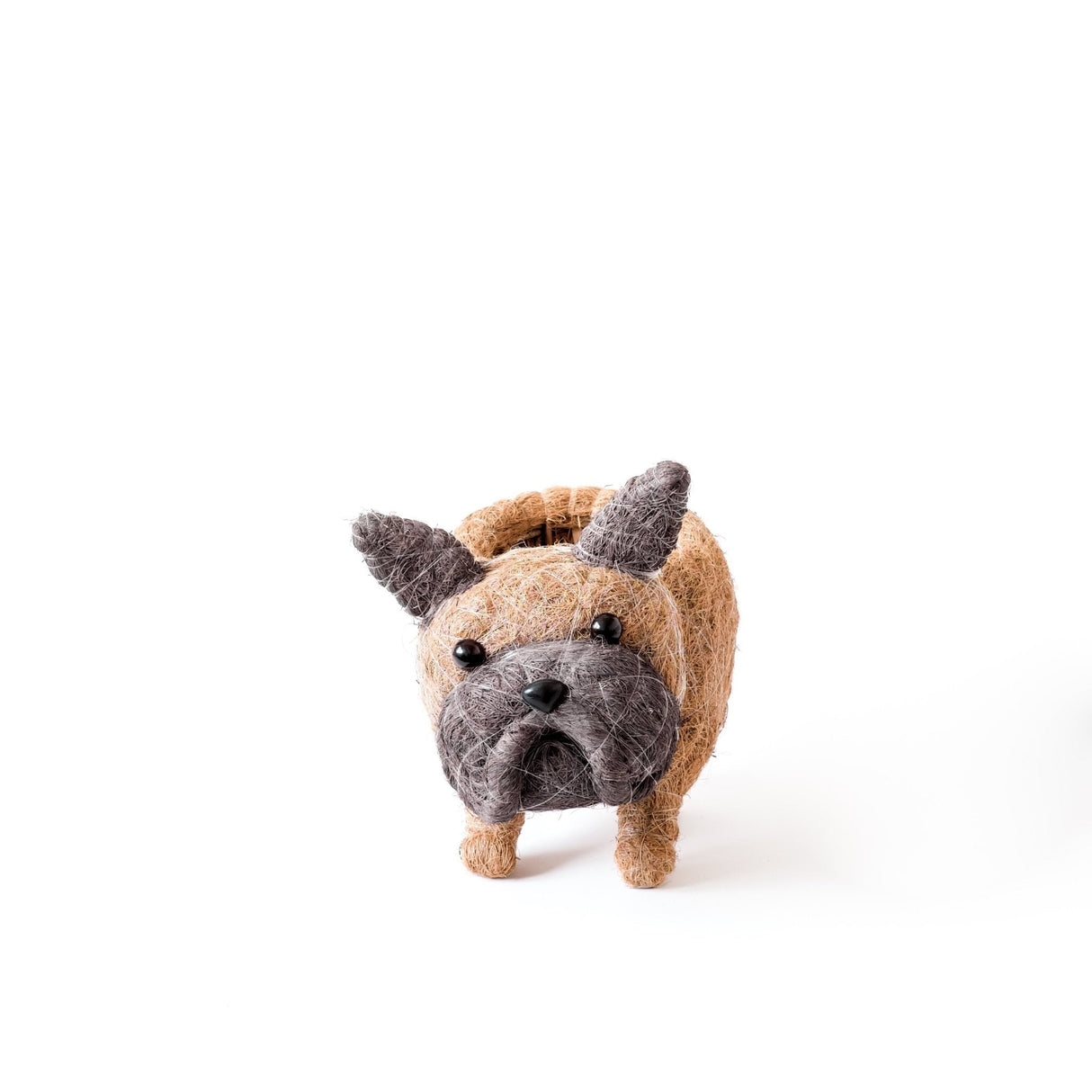 French Bulldog Planter - Coco Coir Pots | from LIKHÂ