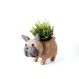 French Bulldog Planter - Coco Coir Pots | from LIKHÂ