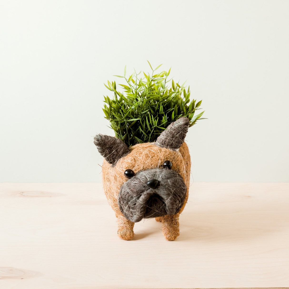 French Bulldog Planter - Coco Coir Pots | from LIKHÂ