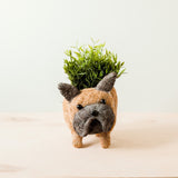French Bulldog Planter - Coco Coir Pots | from LIKHÂ