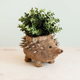 Hedgehog Planter - Coco Planter|From LIKHÂ