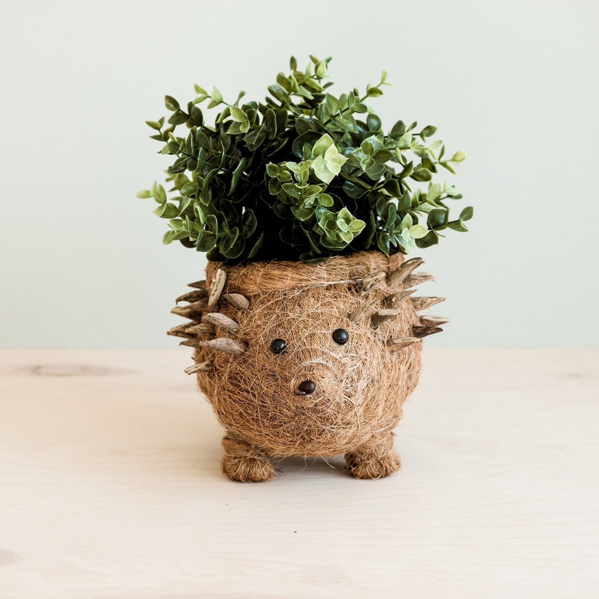 Hedgehog Planter - Coco Planter|From LIKHÂ