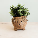 Hedgehog Planter - Coco Planter|From LIKHÂ