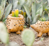 Hedgehog Planter - Coco Planter|From LIKHÂ