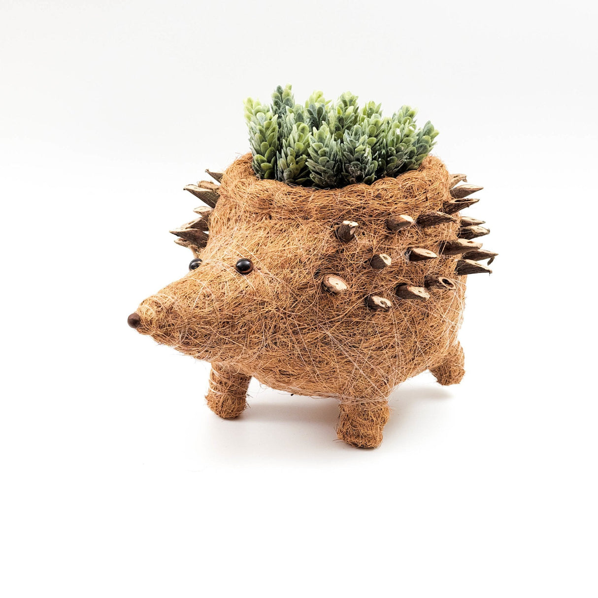 Hedgehog Planter - Coco Planter|From LIKHÂ